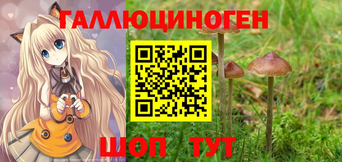 Галлюциногенные грибы MAGIC MUSHROOMS Коломна
