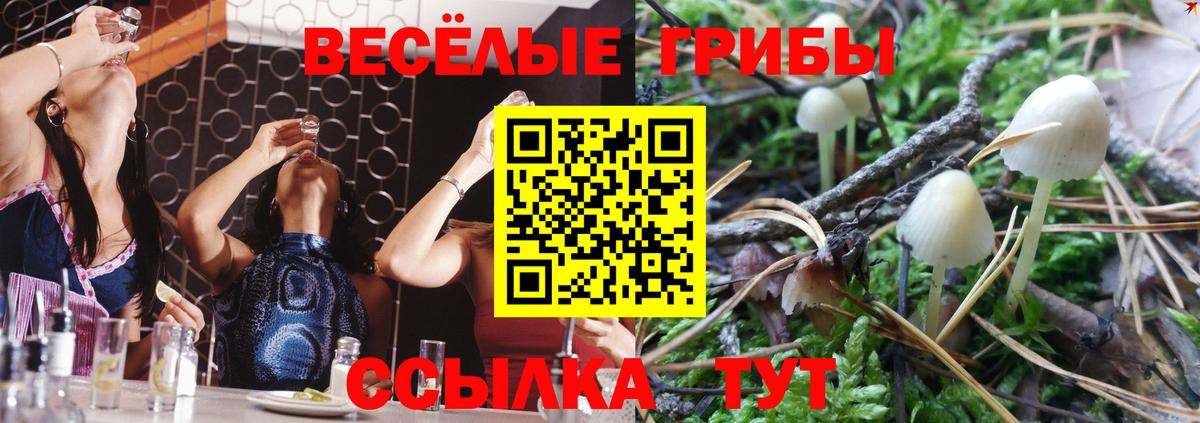Коломна  Галлюциногенные грибы Psilocybine cubensis  где можно купить   Вход с VPN 
